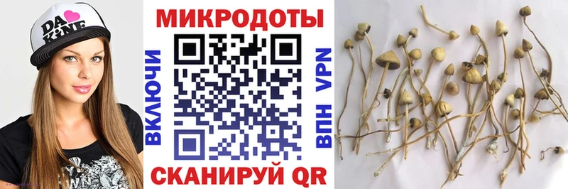 Купить  Зубцов  Галлюциногенные грибы мухоморы 